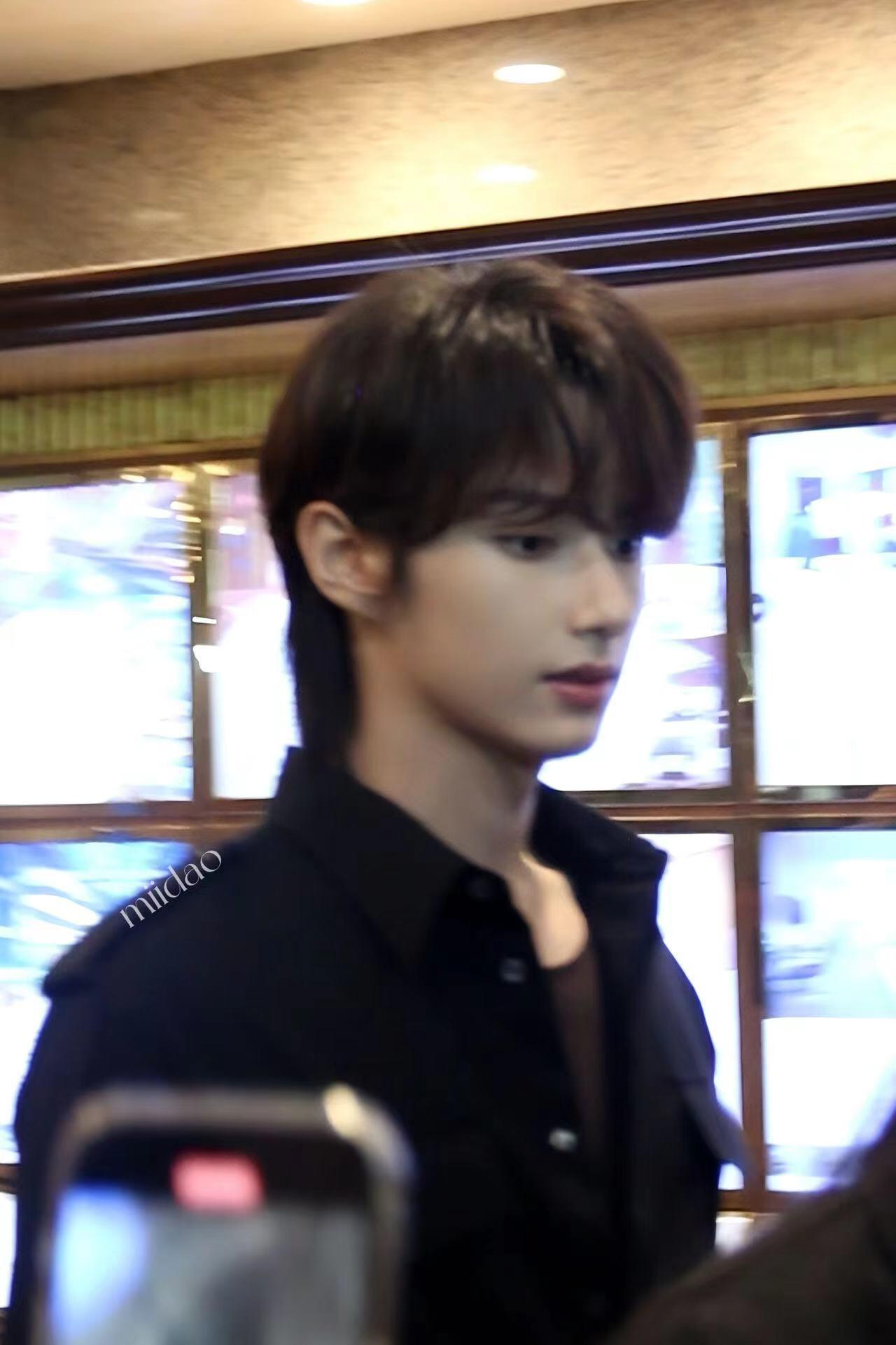 文俊辉重生2开机 【文俊辉】猫咪图鉴😺😸😼😽😹😻😿🙀😾 