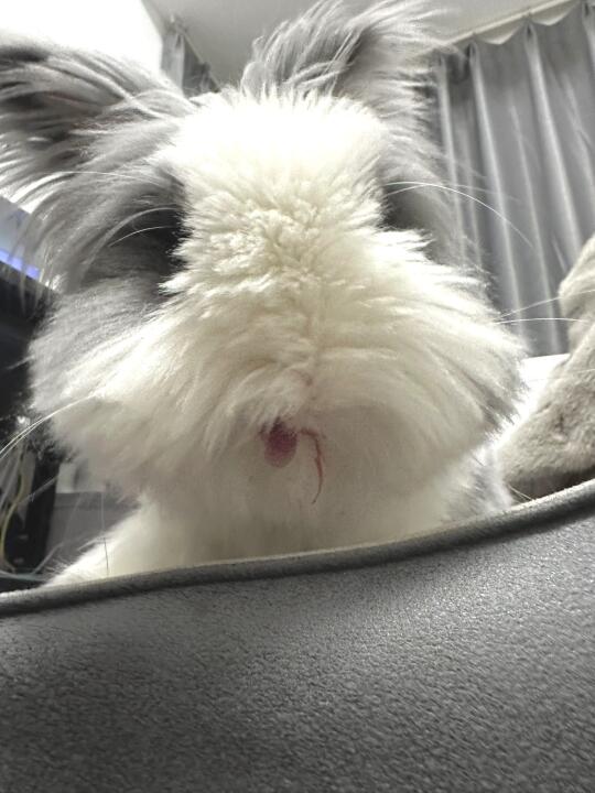 ee猜！胖师傅涂的什么色号💄