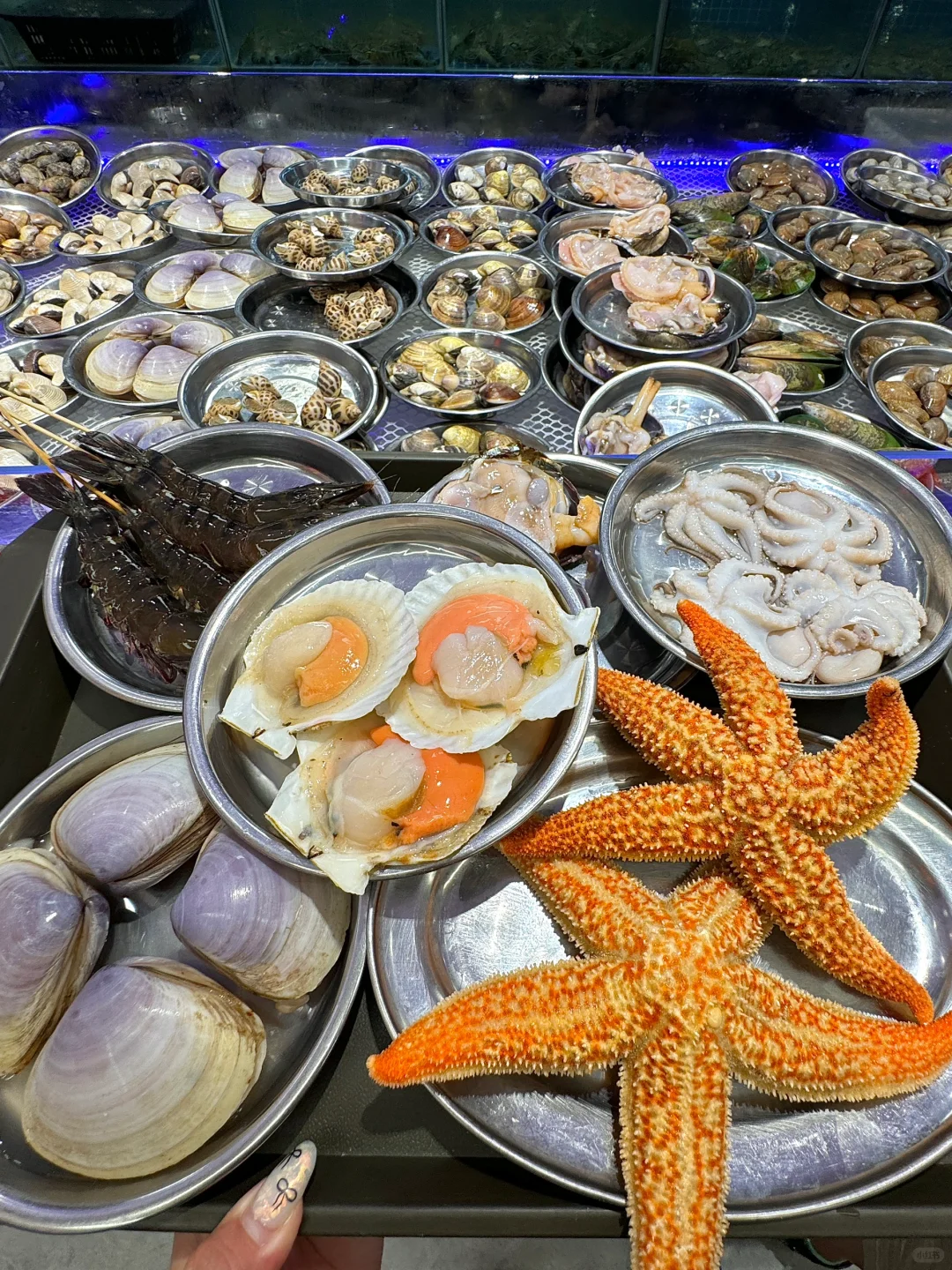 在上海！会反复去的穷鬼海鲜火锅！