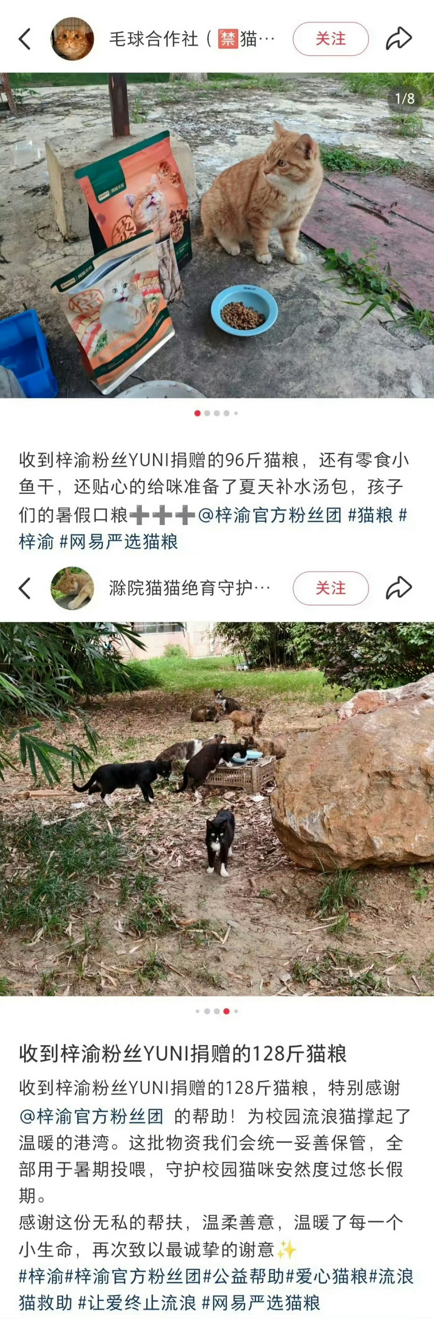 梓渝粉丝YUNI向76所高校捐赠猫粮梓渝粉丝YUNI真的又暖又靠谱💙生日公益应