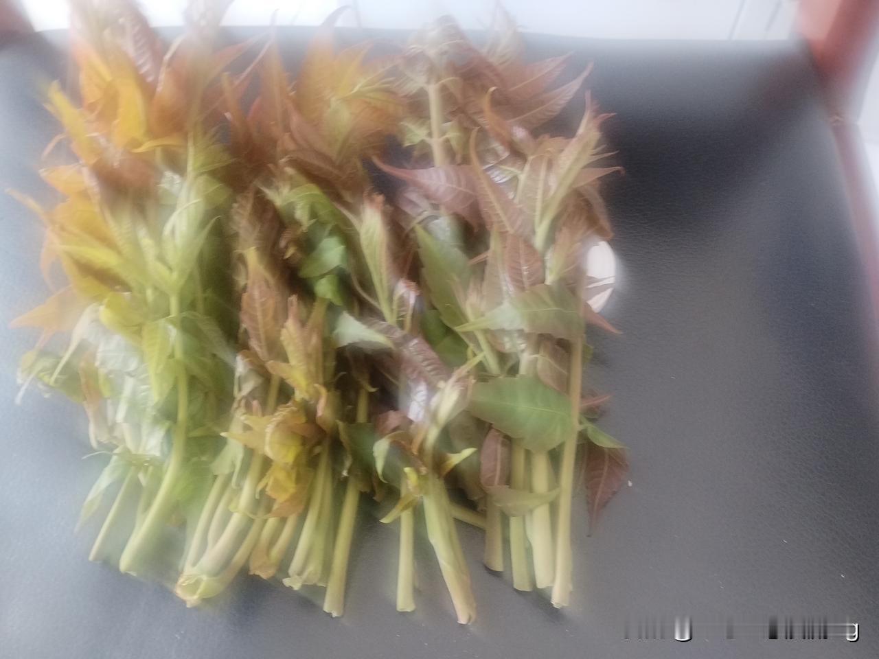 众友友中午好！
今天上午抽时间，把内衣洗一下，顺便把盖了一冬的被罩，褥单都洗了一