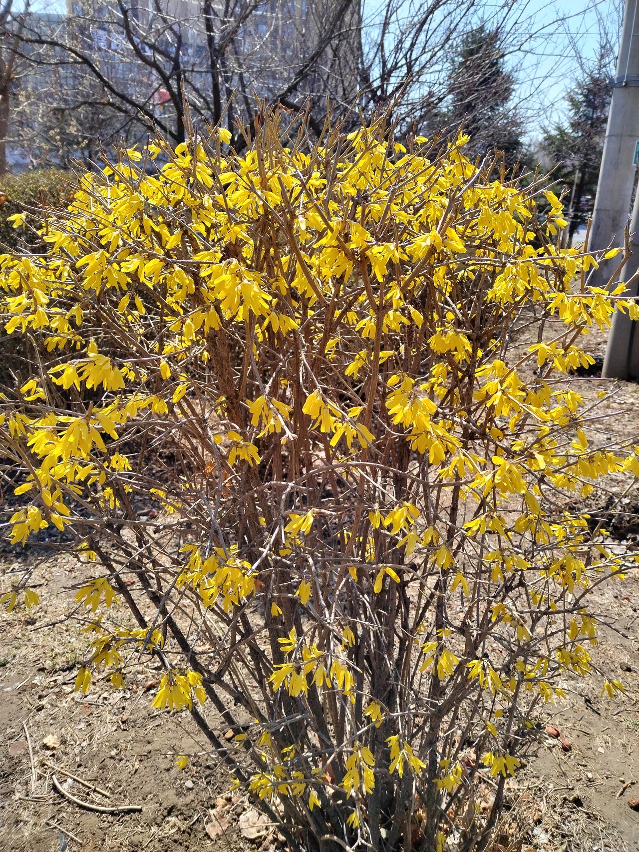春天肝火旺盛，脾气容易暴躁，
这个季节护肝是很重要的。
今天教你养肝简单也最管用