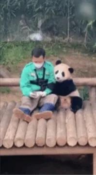 我们的“福公主”“福宝”就要回国了！韩国民众凌晨六点排队送别我们的国宝，太震撼了