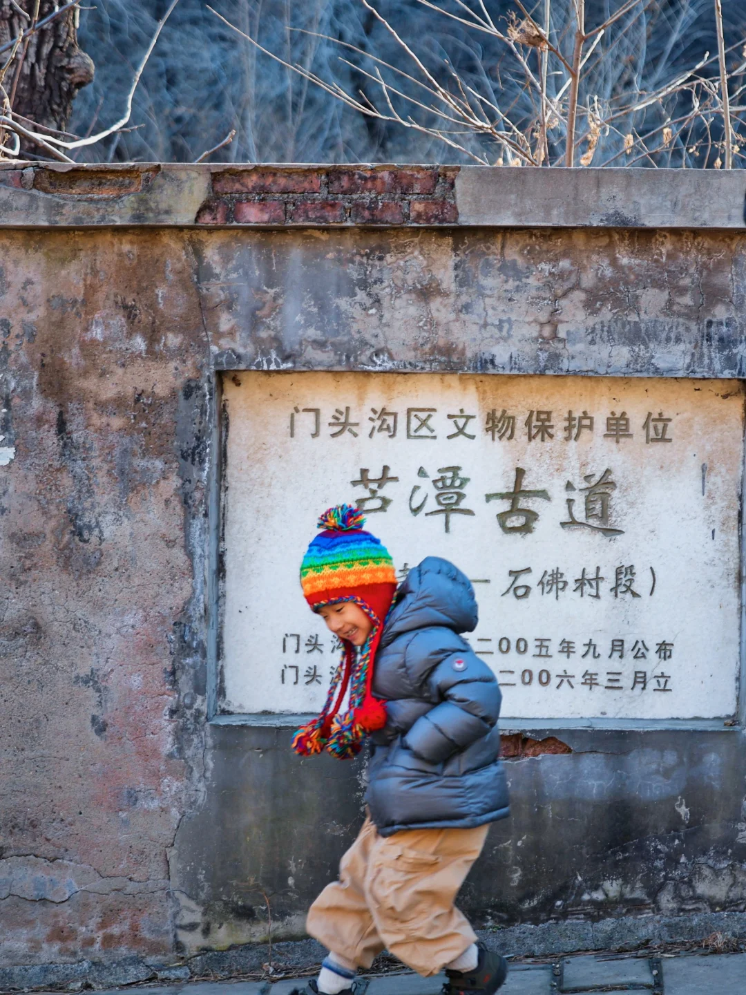 恢复开放！徒步登高+🦊闪现的郊野公园