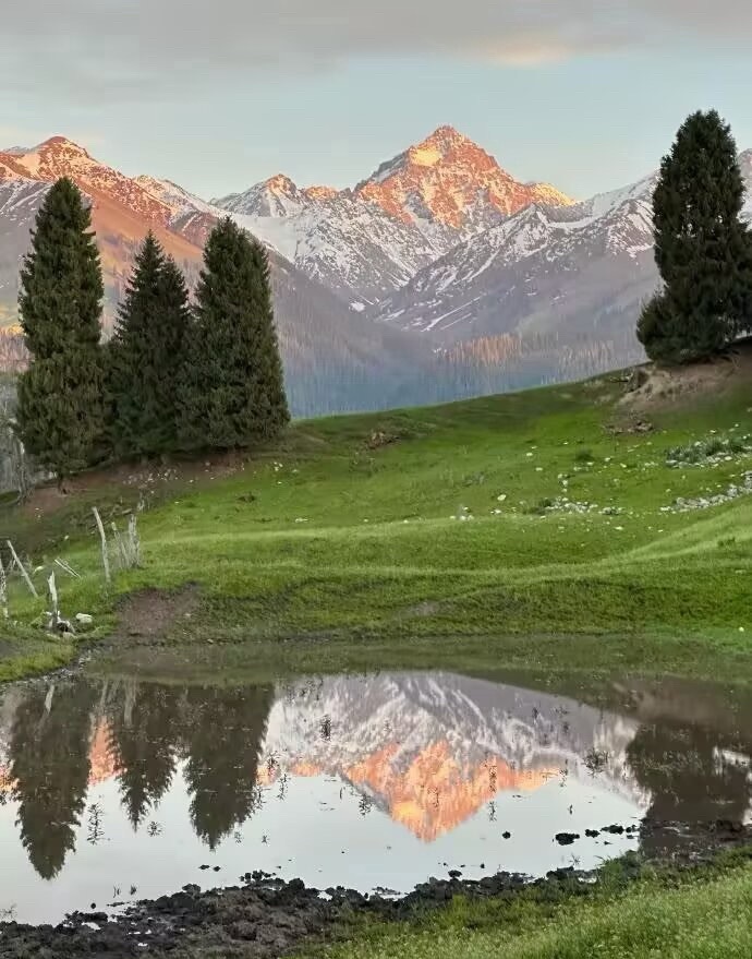 今天之后场内外各五层，后续跌了补，涨了出场内，做做加减就可以了。 