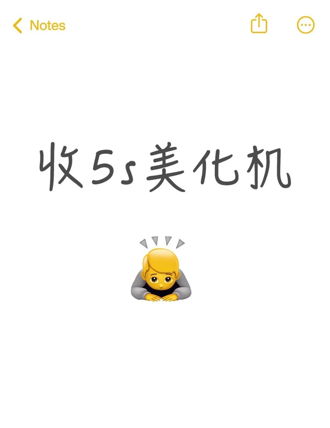 苹果5s 收物 手机 美化