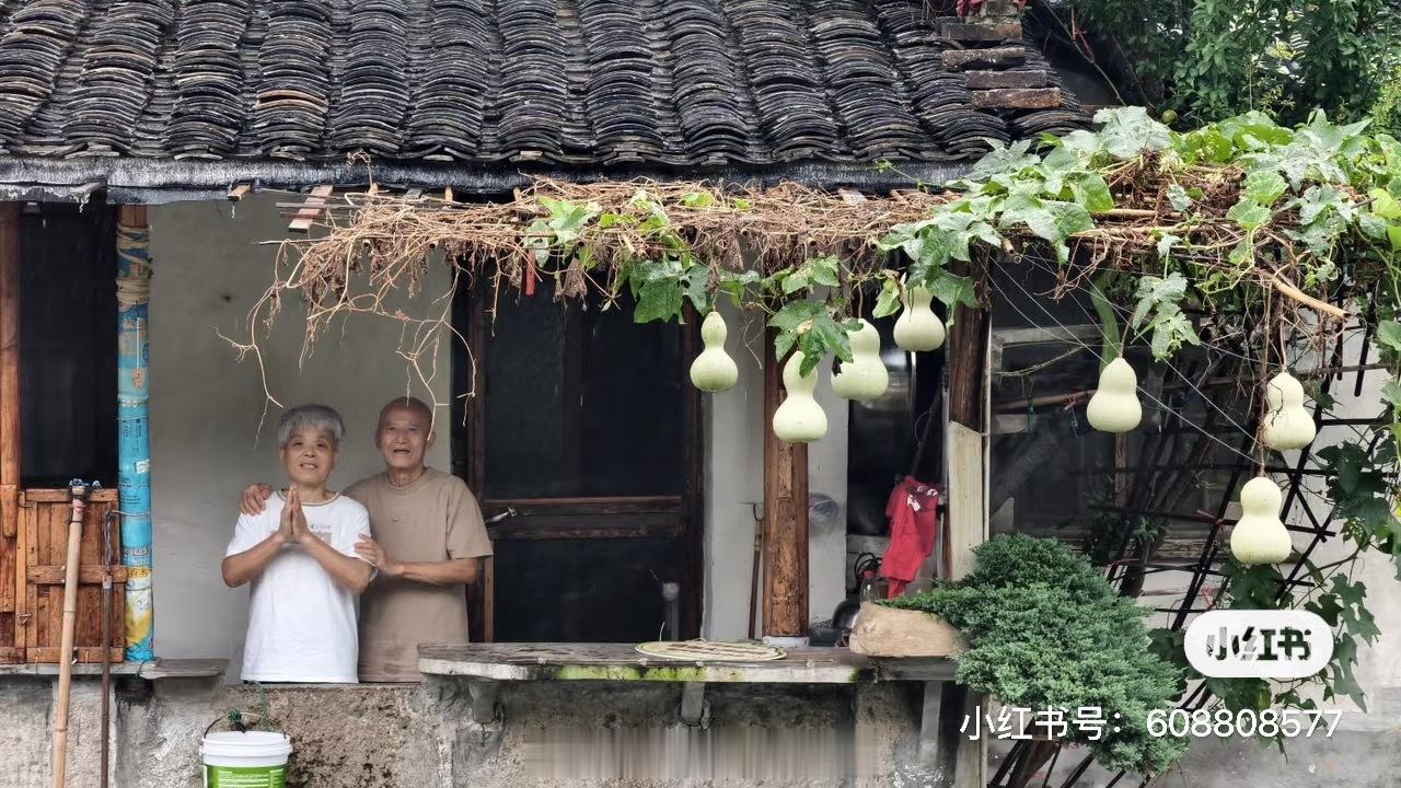 绍兴一个爷爷在自己房门前种了一株葫芦，一共结了11个果，台风刮掉2个，自己吃了2
