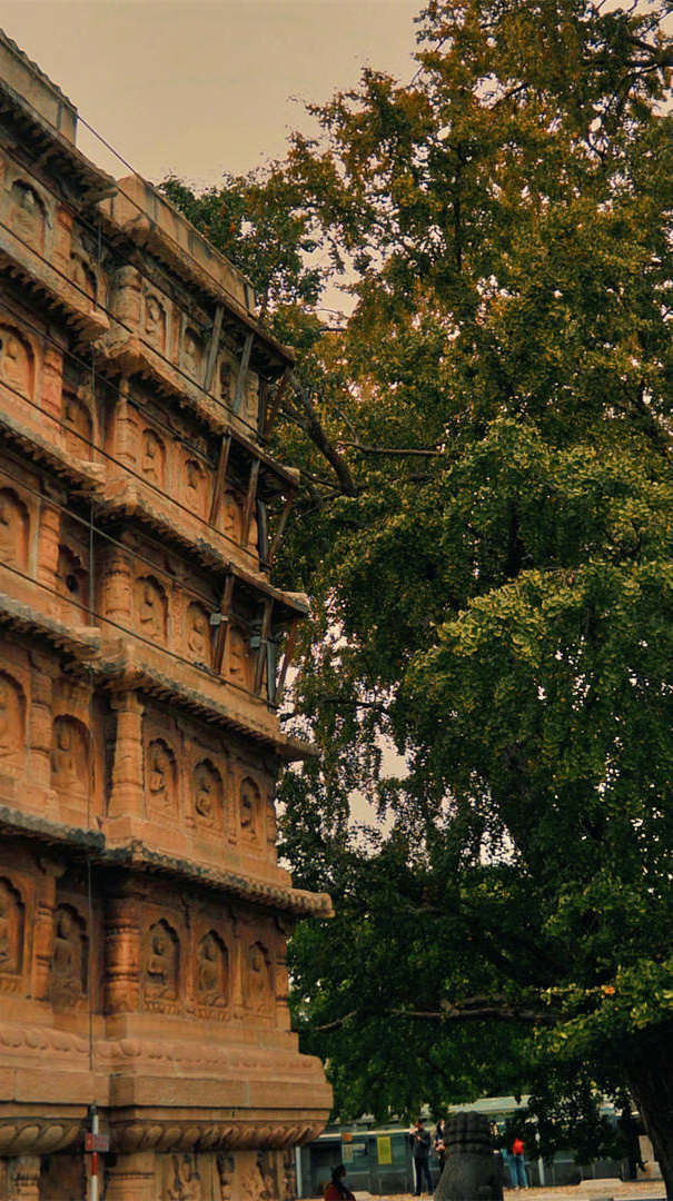 当你看过世界，见过众生 才发现你要见的世面 是自己内心的勇敢和自信 当你看过四季