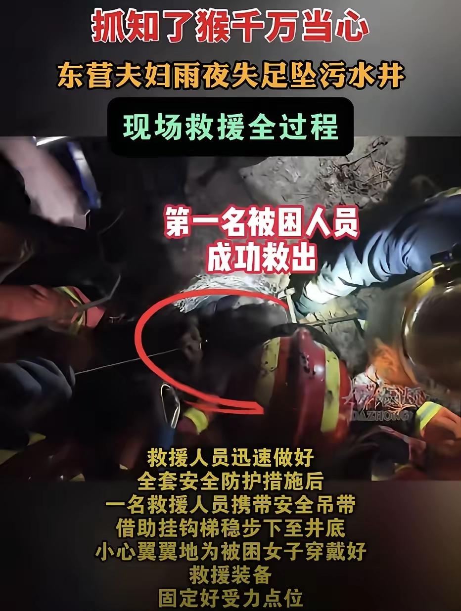 山东东营，一对夫妇雨后外出找知了猴，丈夫跟妻子分头找，结果妻子没有注意到绿化带内