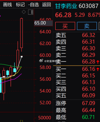 甘李药业连日长阳，多头之势凌厉。今盘中冲高 66.44 元，遇压小幅回落，日内涨