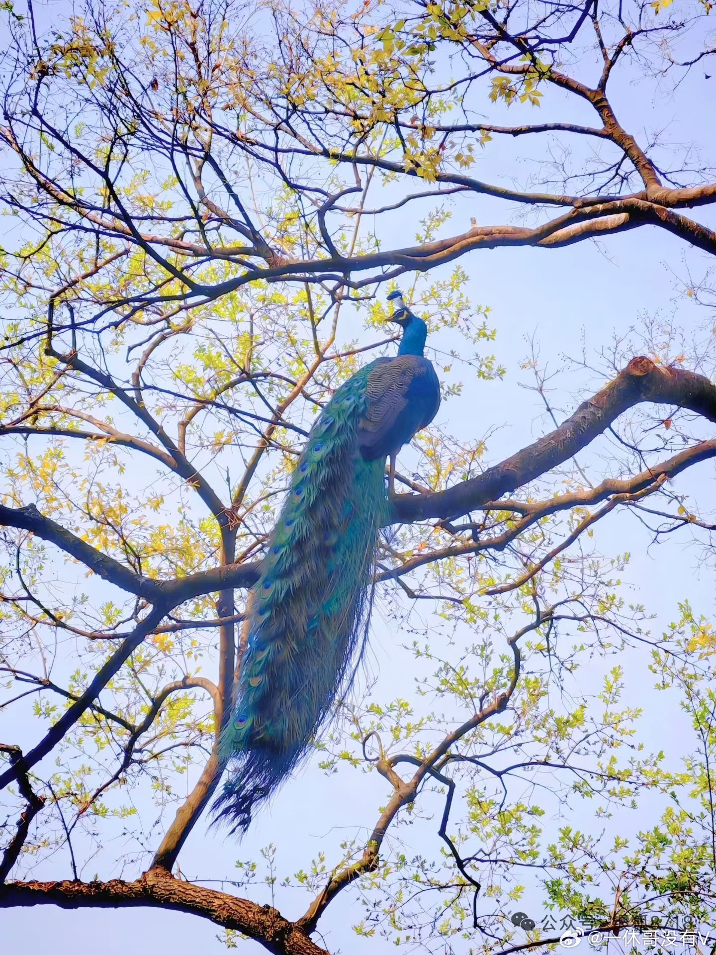 做人，不要在烂人烂事上纠缠，做股票也一样，不要在烂股上浪费时间…… 