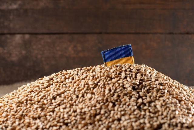 尽管受到战争影响，但乌克兰谷物协会表示，有利的天气条件和好于预期的农作物单产，将