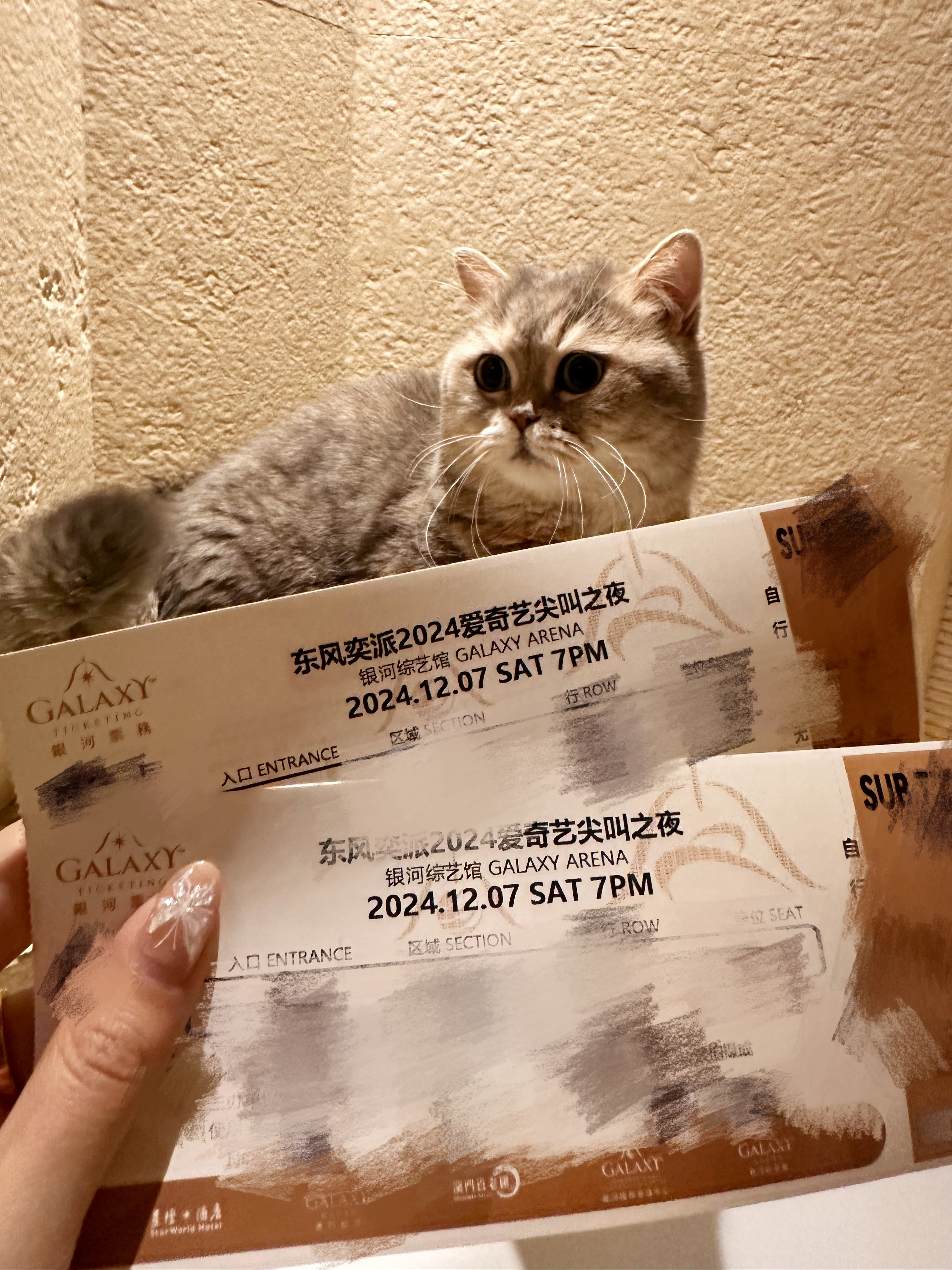 又是一年🥝尖叫之夜，拿到门票啦阵容名单[憧憬]好多人啊！你最想看谁？马丽、马伊