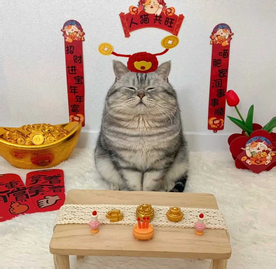 人！快点接咪回家！