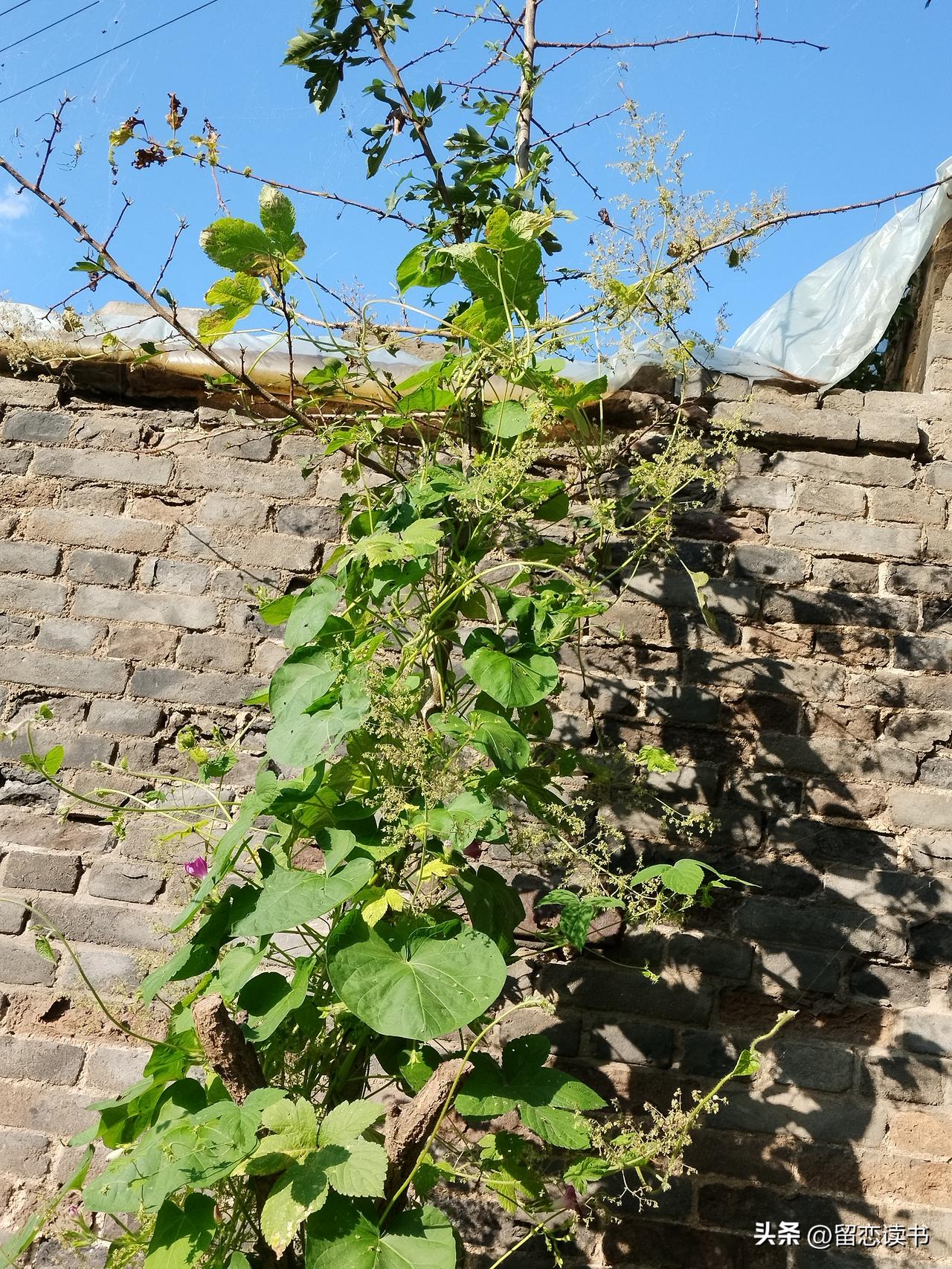 聪明的婆婆都懂得，跟儿媳妇相处，有四个坑千万不能踩：
一，不管儿媳妇爱睡懒觉也好