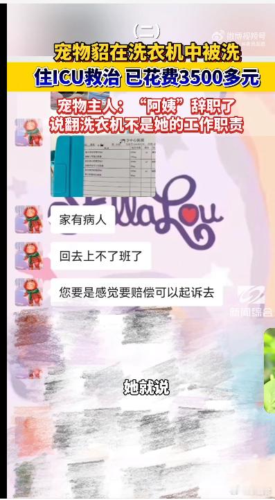 #女子养的宠物貂被洗衣机洗了15分钟#洗衣机不翻看有什么不能水洗的？洗坏衣服不算