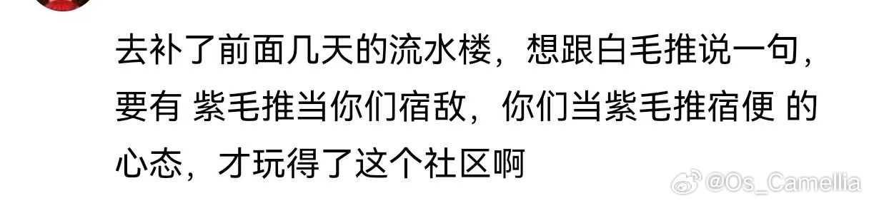 🐀不要再吱吱乱叫了哈 真的没人在意下水道的事儿 少来沾边哦