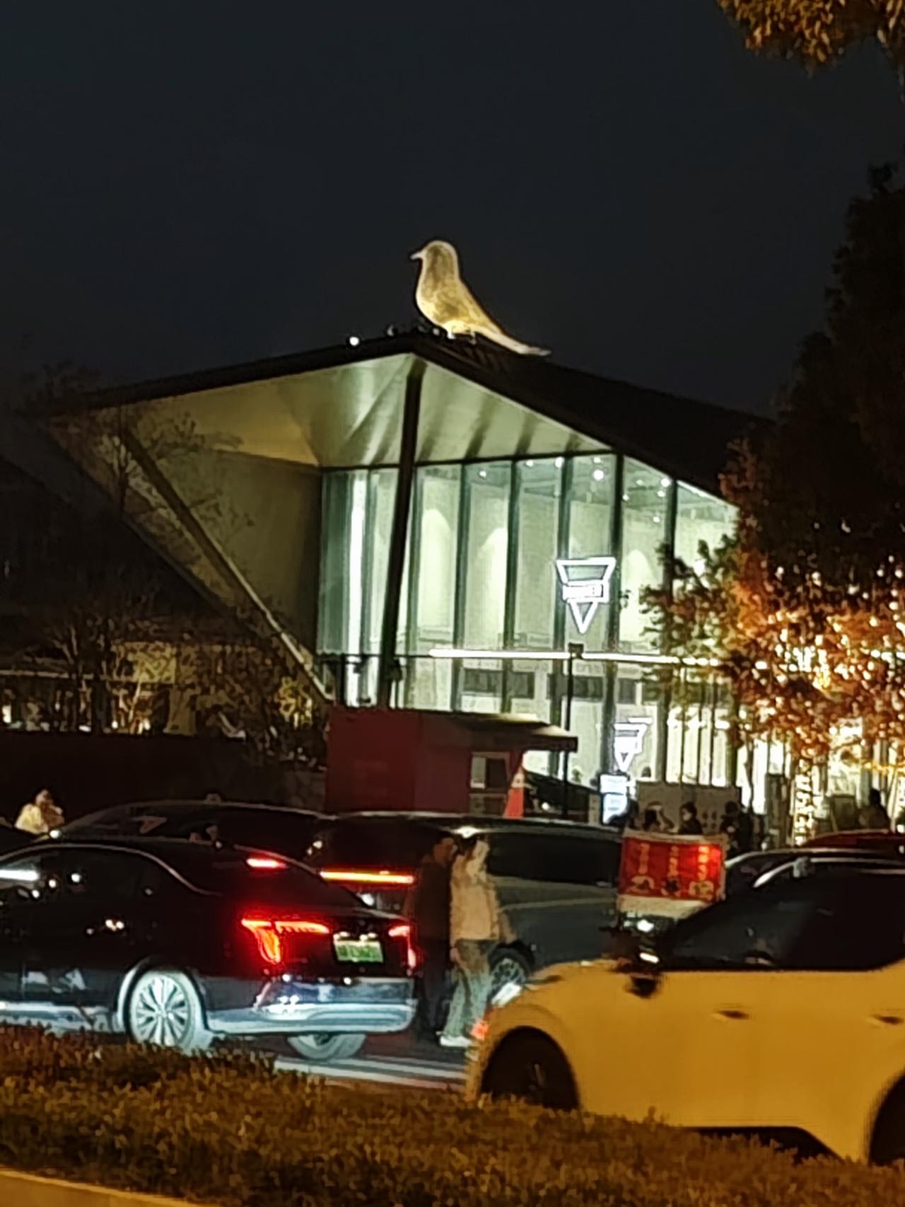 杭州良渚文化村不但风景优美，而且美食多多。很多餐厅门口晒满了腊肉、酱鸭和风干鸡。