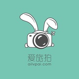 夏草热看汽车