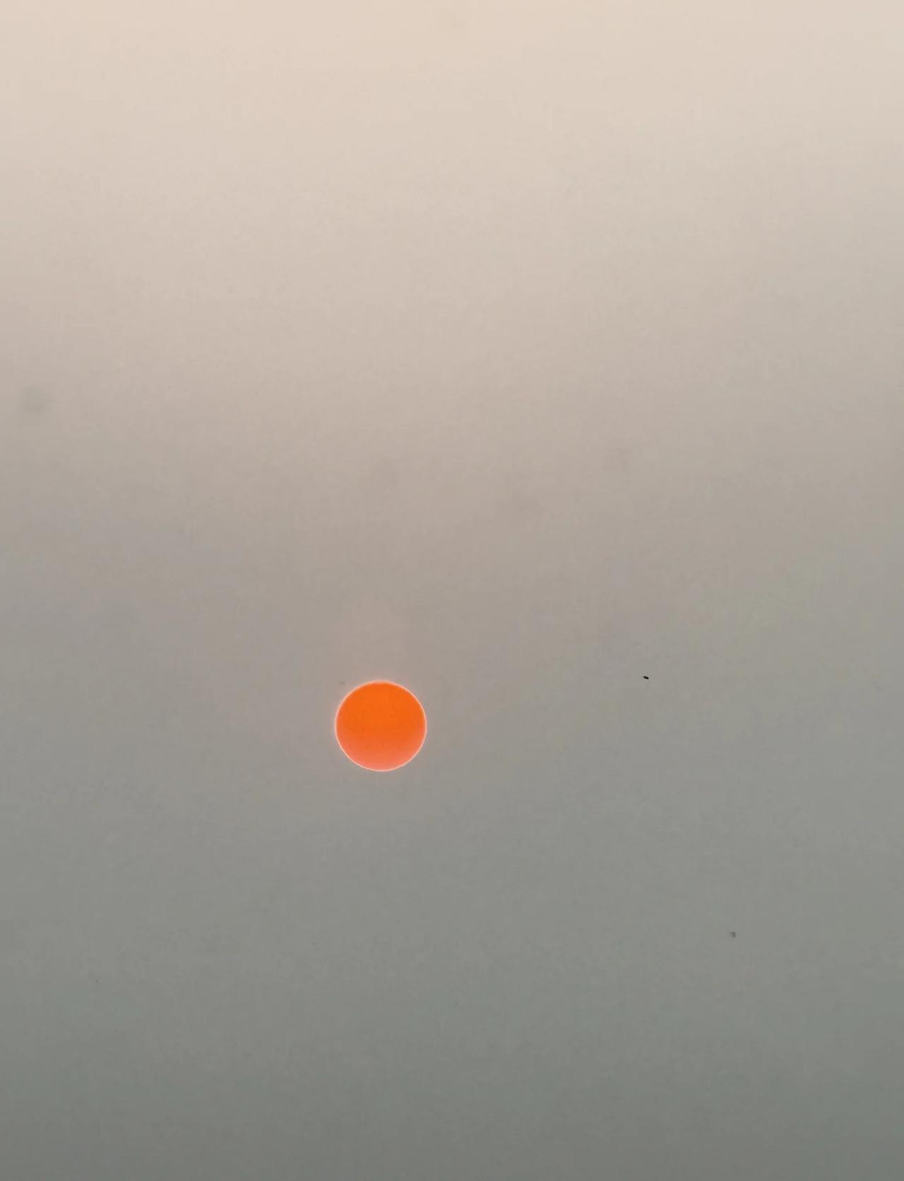 如果没有霾应该是个很棒的大晴天
太阳当空照