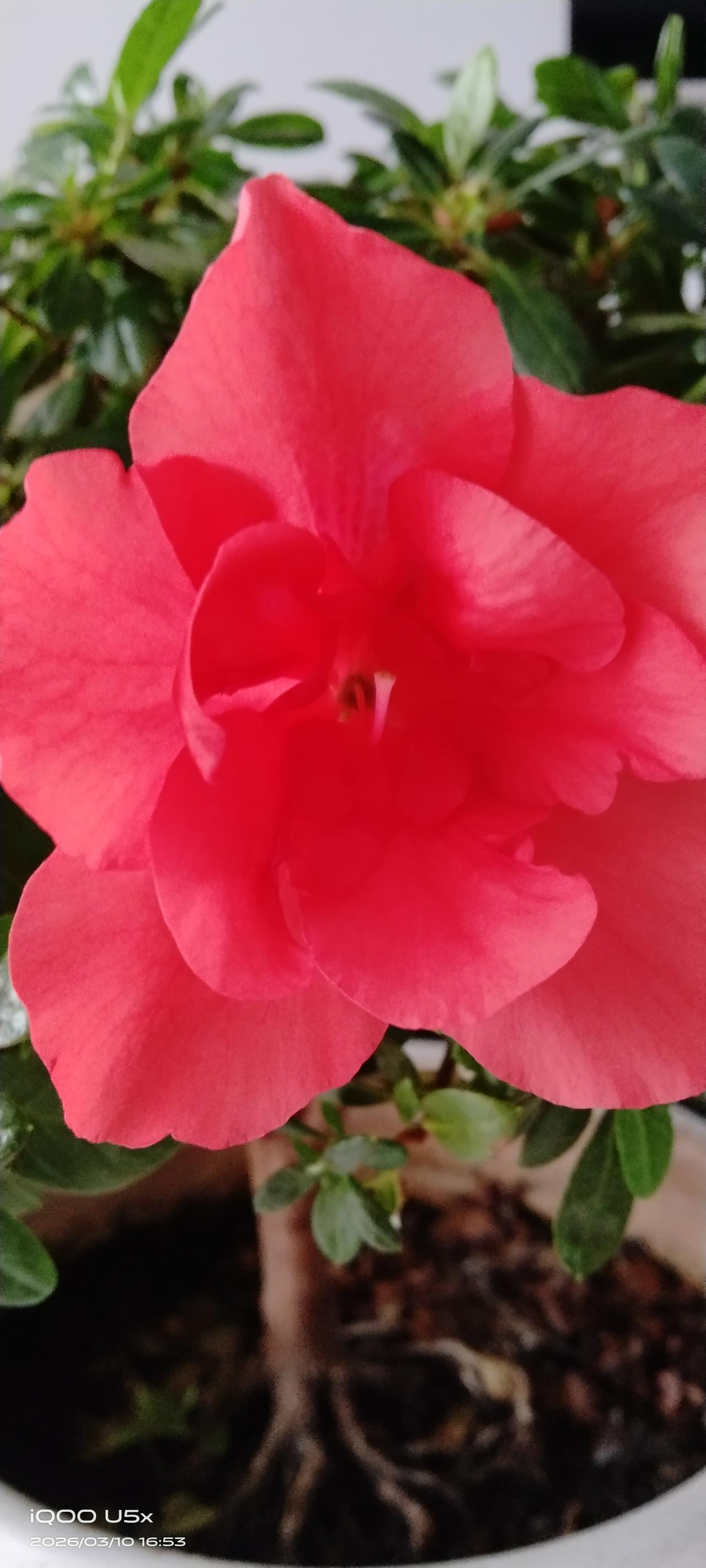 我太善良了，以至于任何人都认为我大大咧咧的，没有心眼儿，对我怎么样我都不在乎，一