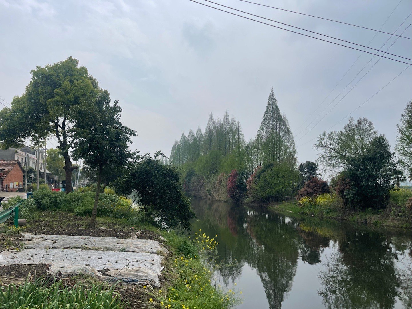 今日和小田咸宁一日游，办个车子的过户手续。顺便小田回家一趟，我也去瞧瞧。一路聊天