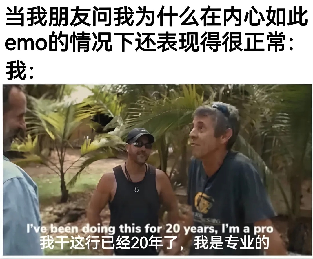 专业伪装memes