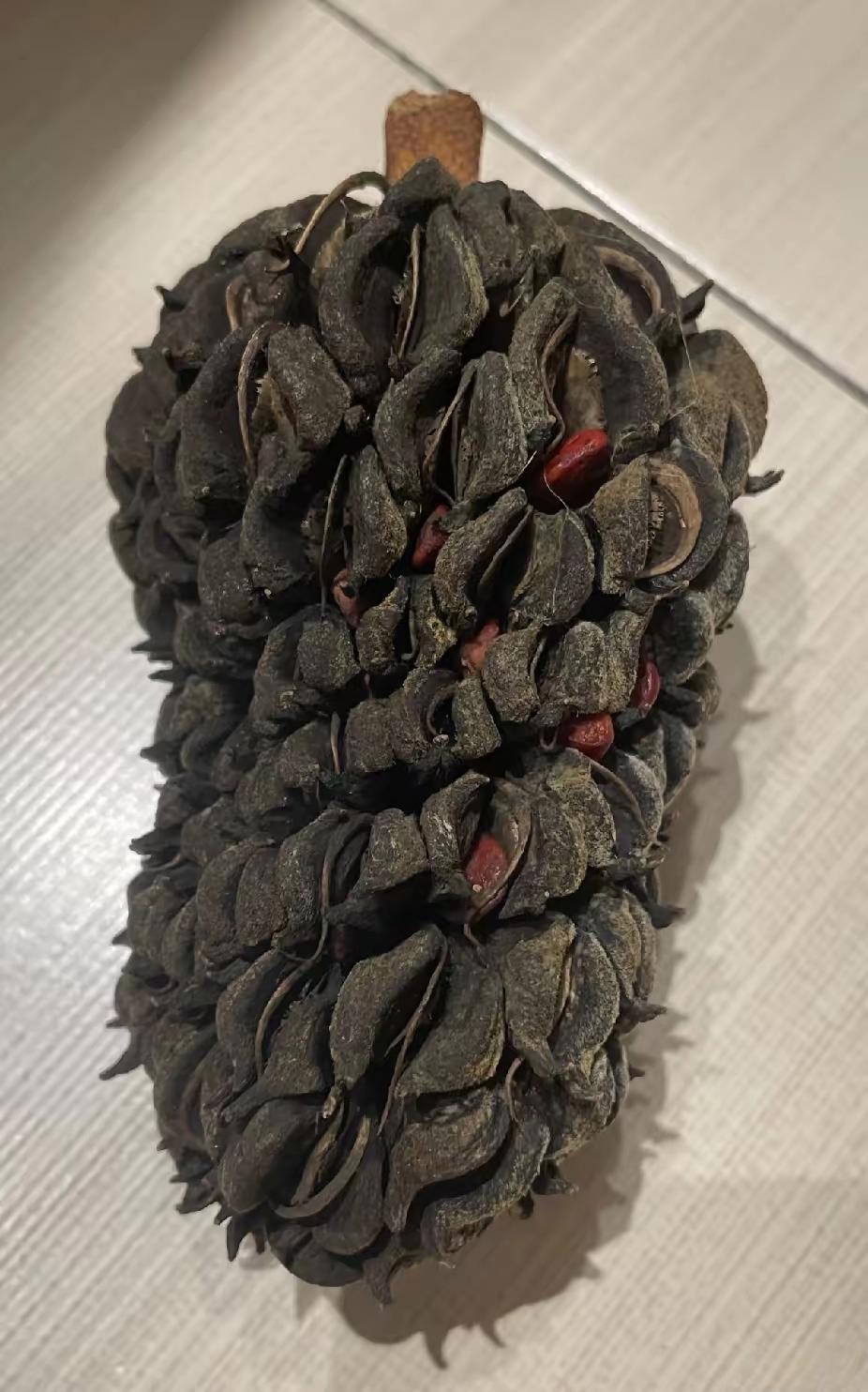 这是什么东西？