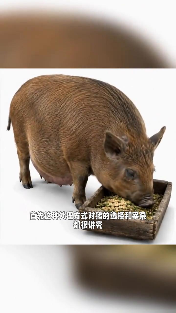 房梁上几十年的僵尸肉。
僵尸肉，而是一些地方传承下来的特殊肉类保存方法。
·首先