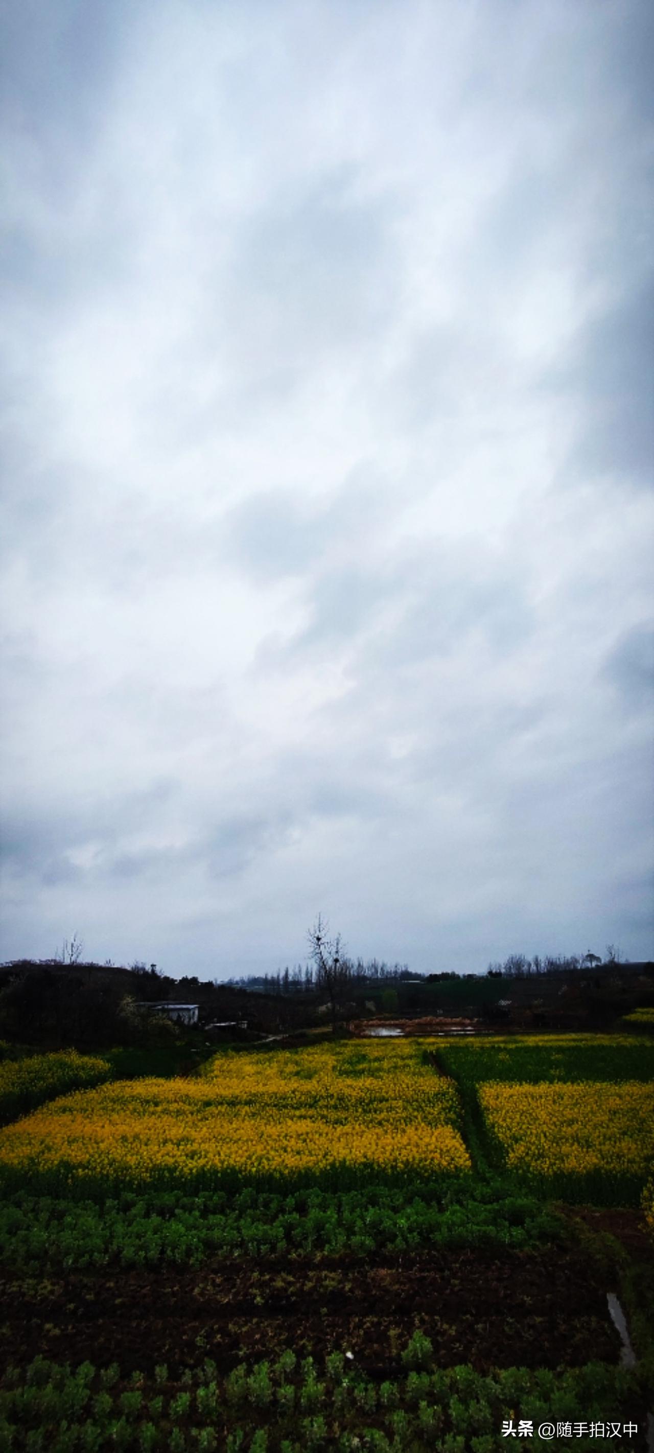 今年春天最想实现的心愿春日雨多，云层似是拧不干的抹布，漫不经心的落下来。麦苗青，