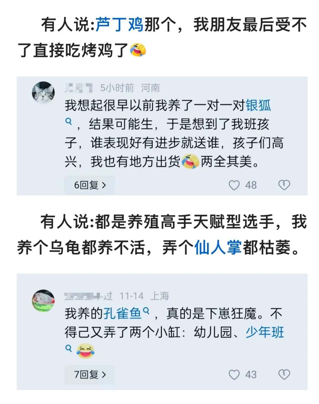 当初卖我一公一母的老板你睡了吗？我睡不着！