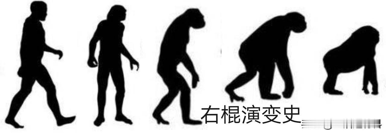 右棍的话题总是把客观存在的两种事物对立起来，可能这些人就是近年来西方演变进化的结