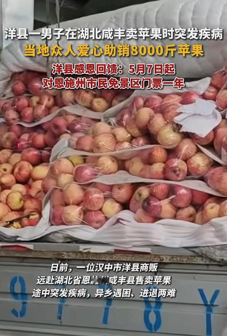 一方仗义，一方有格局。
这才是双向奔赴！
       洋县一男子在湖北咸丰卖苹
