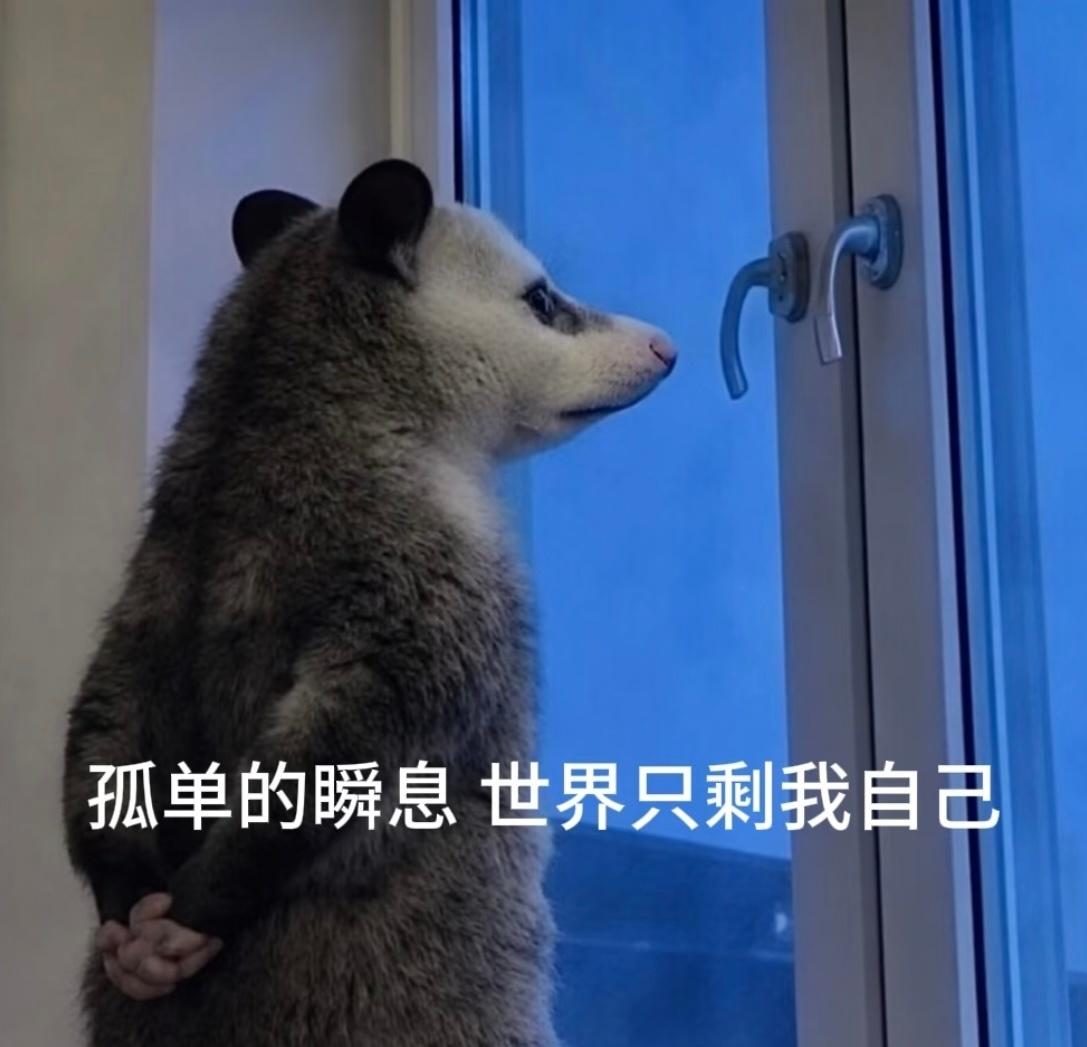 广东今天的大蒸笼这个温度，求你了给我撒点水吧焖六成熟了都