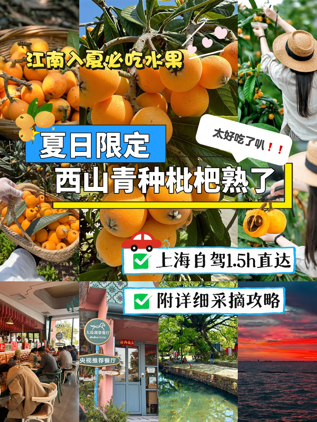 上海自驾1.5h✅在苏州实现枇杷自由‼️