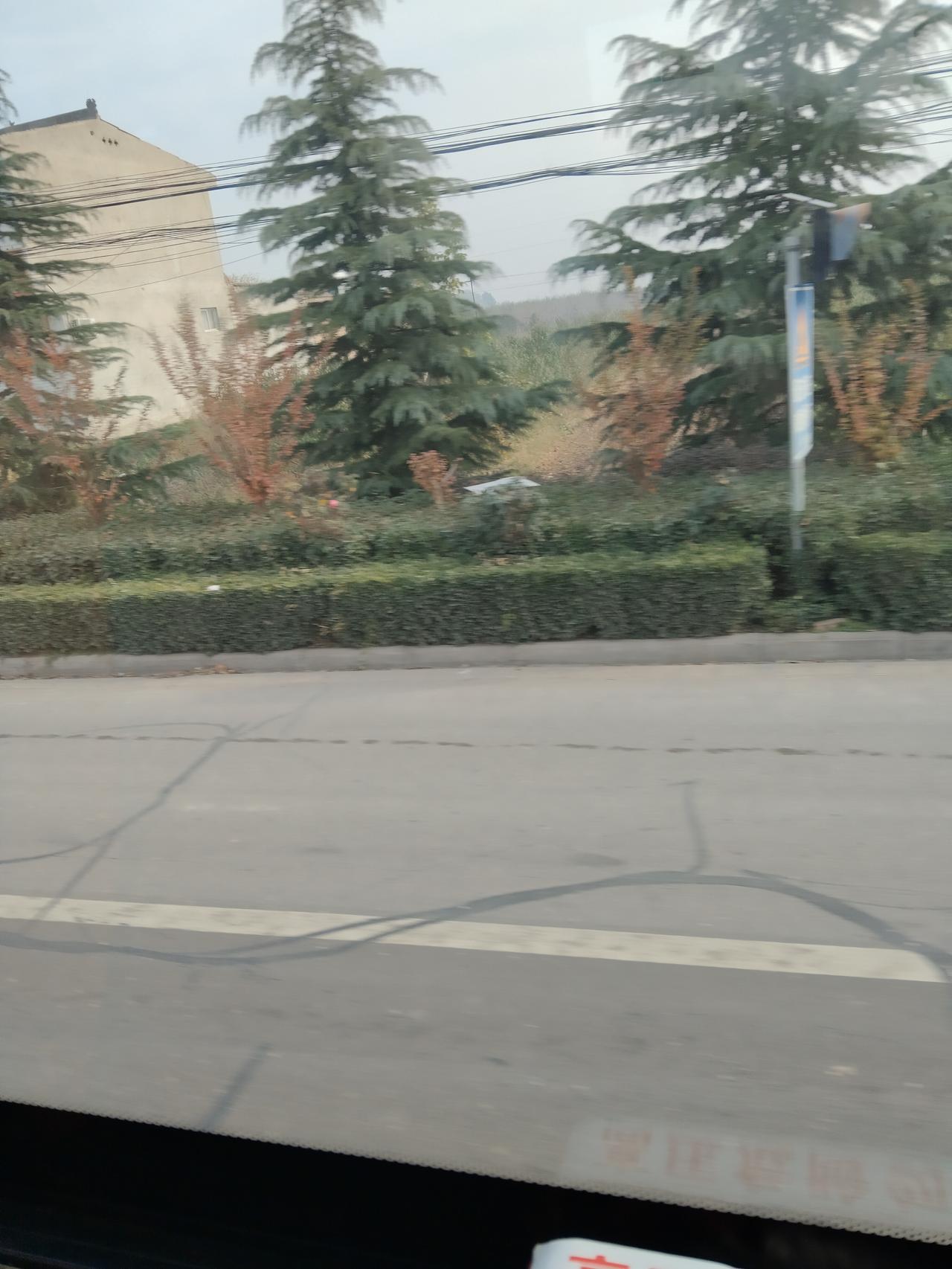 你经历过么？——
坐公交回村。上车了，问司机怎么早出发了，司机说10点在百大发车