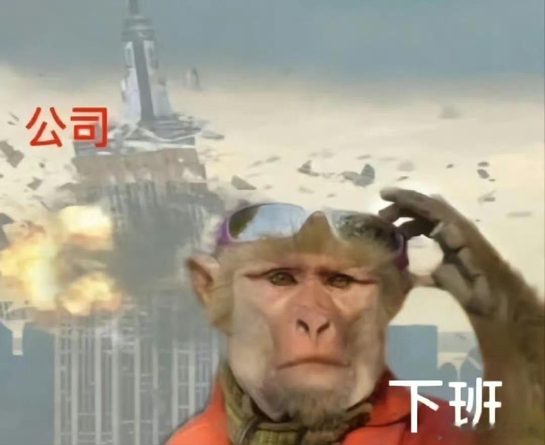 最尊重猴的剧组出现了 终于看到贴合打工人心境的剧情，吗喽勇敢表达自身想法，剧组抓