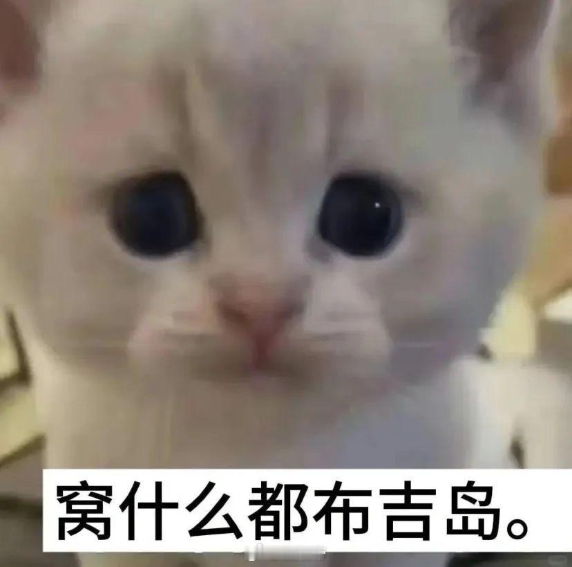 第一次看到机器人i成这样原本以为机 器人都是刻板执 行程 序，没想到它如此暖心。