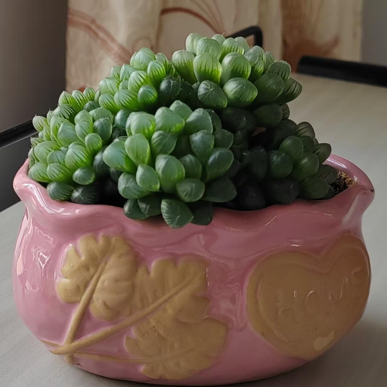 


胆固醇高，不想吃药，只控制饮食行吗？