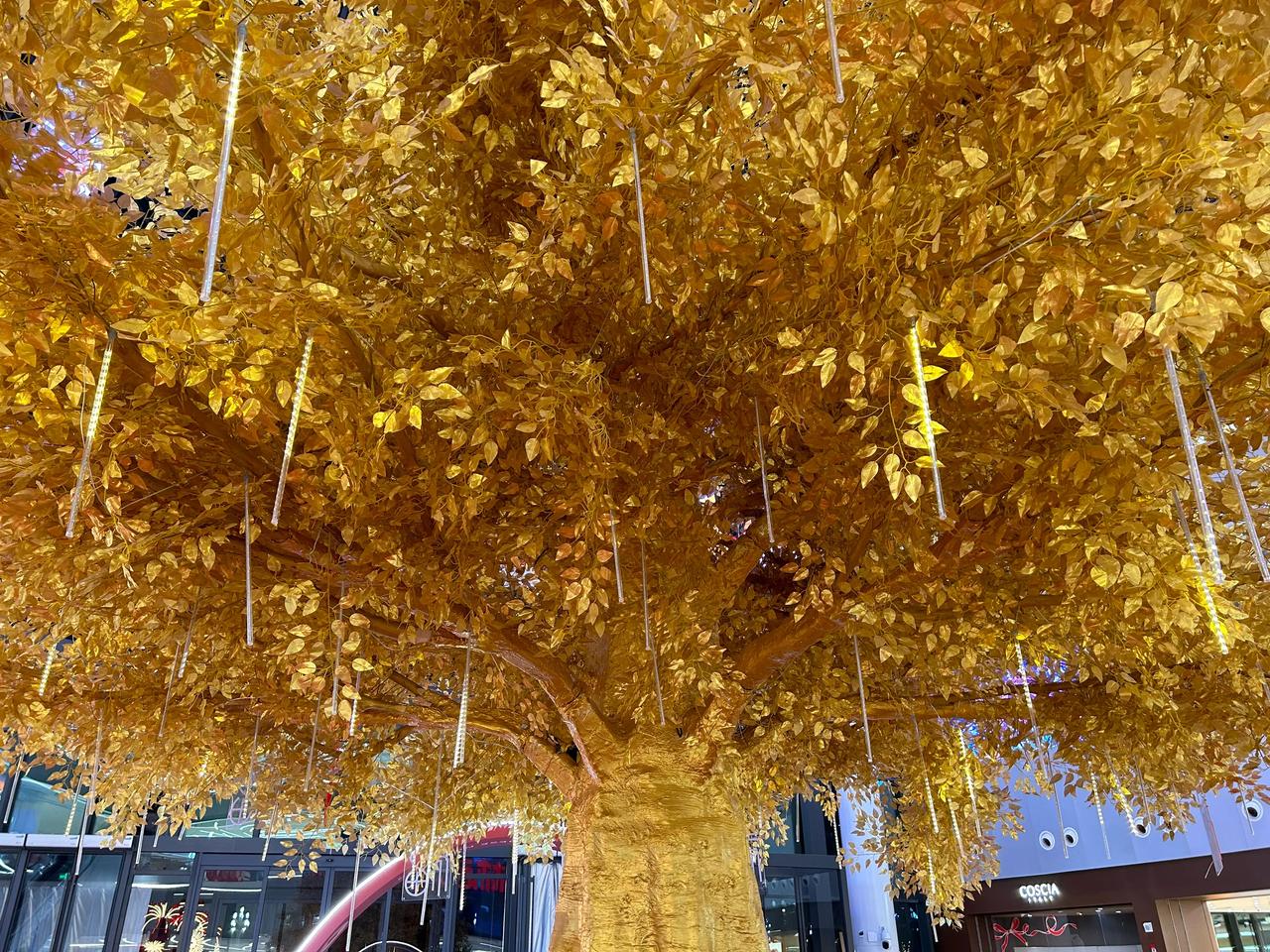 经一店门口，听见女人歇斯底里带着哭腔的谩骂，还有摔打的声音，大概是她老公弄没了几