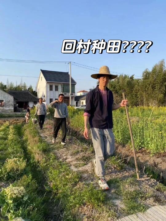 越来越多的年轻人，开始去上海乡村生活了