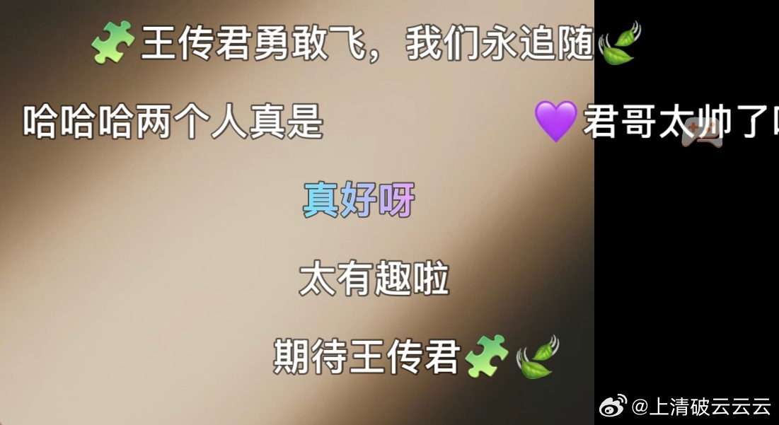 我真的得了一种看到🧩🍃弹幕飘出来就想狂笑的病。。。。 荣城哥嫂