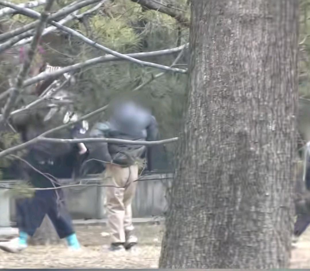 白百合儿子在街上小便被喷了，这个事情吧，我觉得合情合理，是个大人，也有憋不住屎尿