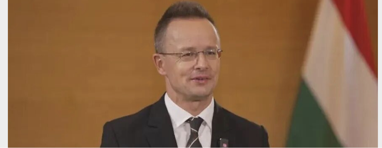 我也想去比亚迪，或者吉利？航天电动车 【匈牙利前外长，入职比亚迪】当地时间7月1
