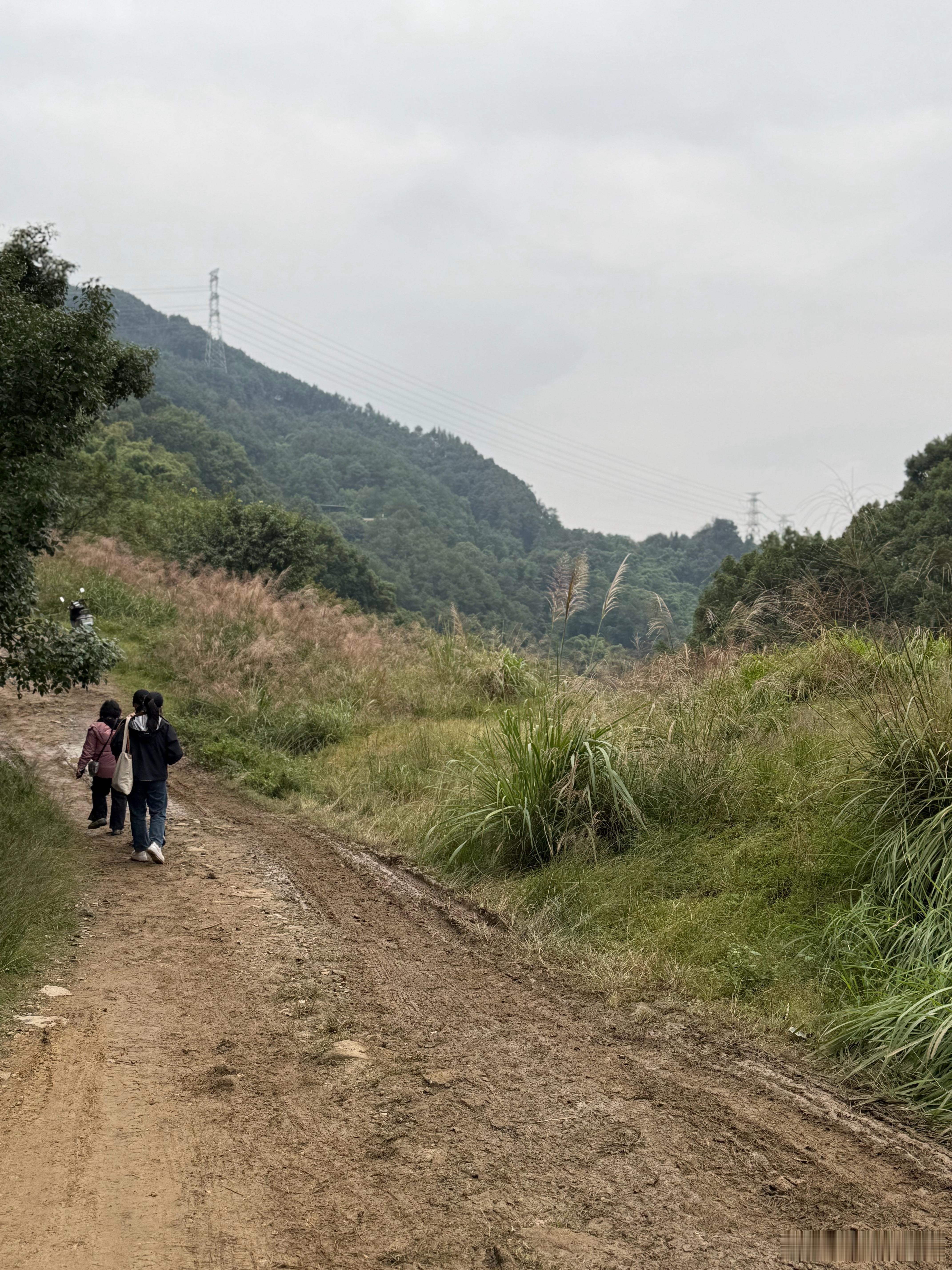 老师，以后这种追星活动我就不参加了………… ​​​