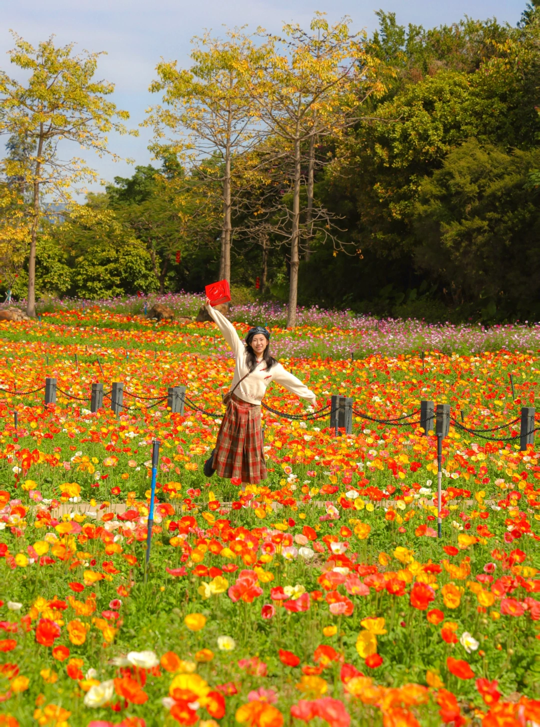 2.8实拍！广州20000+㎡浪漫花海🖼️美得像油画