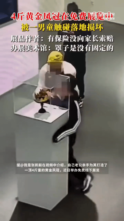 怎么感觉这俩人是碰瓷呢！

自己办的展览，这么贵重的东西也不固定，罩子一碰就倒。