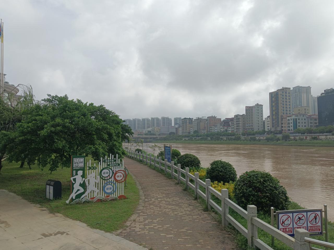 天气预报这两天又要起台风，而今天上午还是晴天，只偶有几片浮云。举目凝望，飘飘浮云