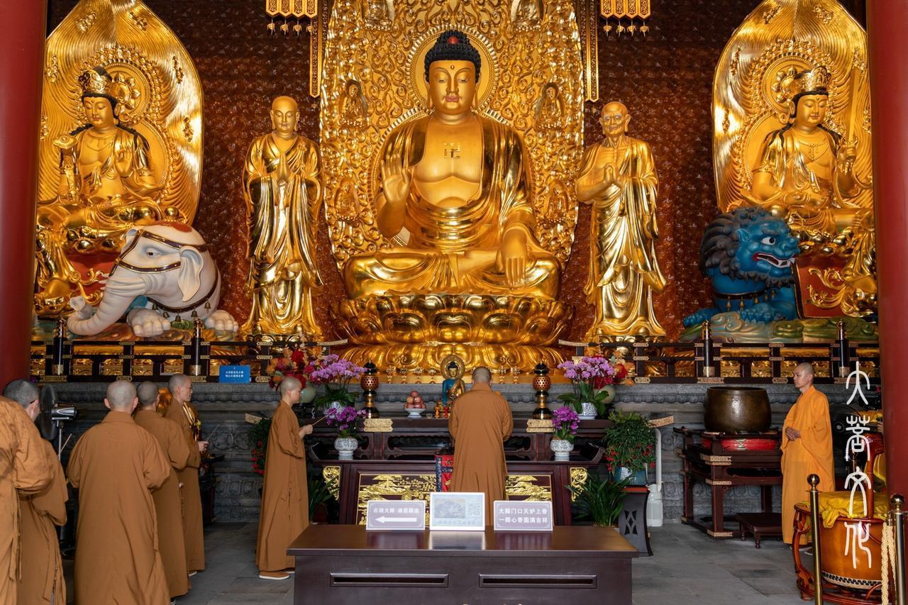 很多人疑惑，佛教为什么不进行改革允许僧众吃肉和结婚？我想说，亚伯拉罕三大教，为什