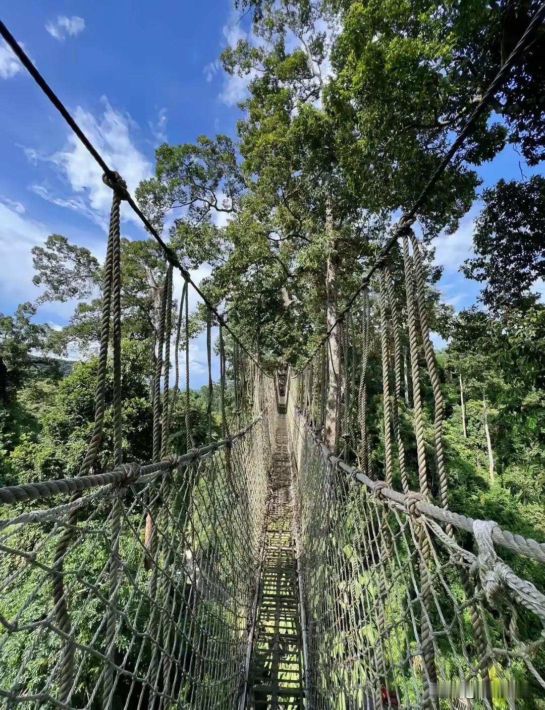勐腊：没有网红打卡，却成了我的精神避难所
 
大家去西双版纳基本都直奔景洪，夜市